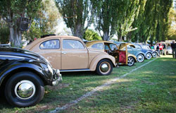 vw-coccinelle Classic day Sion