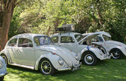 vw-coccinelle VW Porsche Classic Days